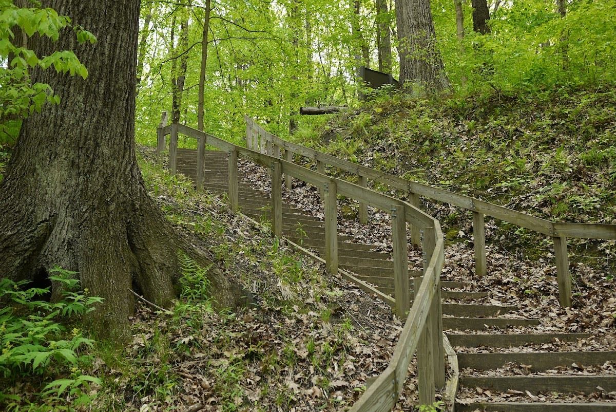 Warren Woods State Park