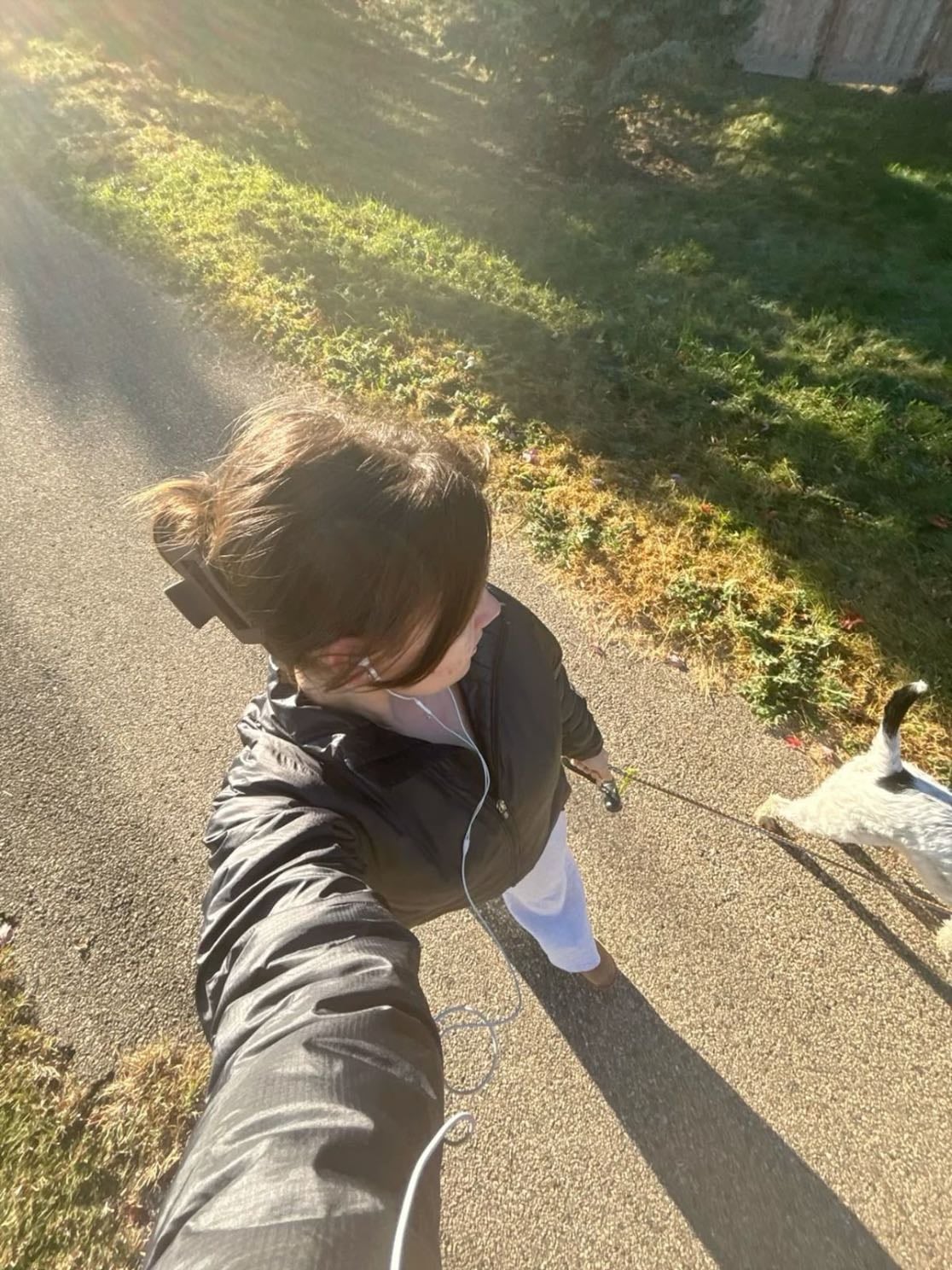 take a walk around your neighborhood