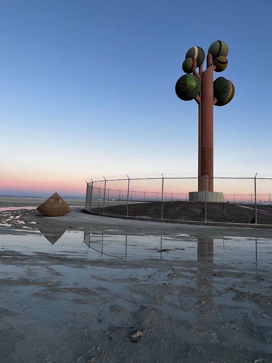 The Tree of Utah