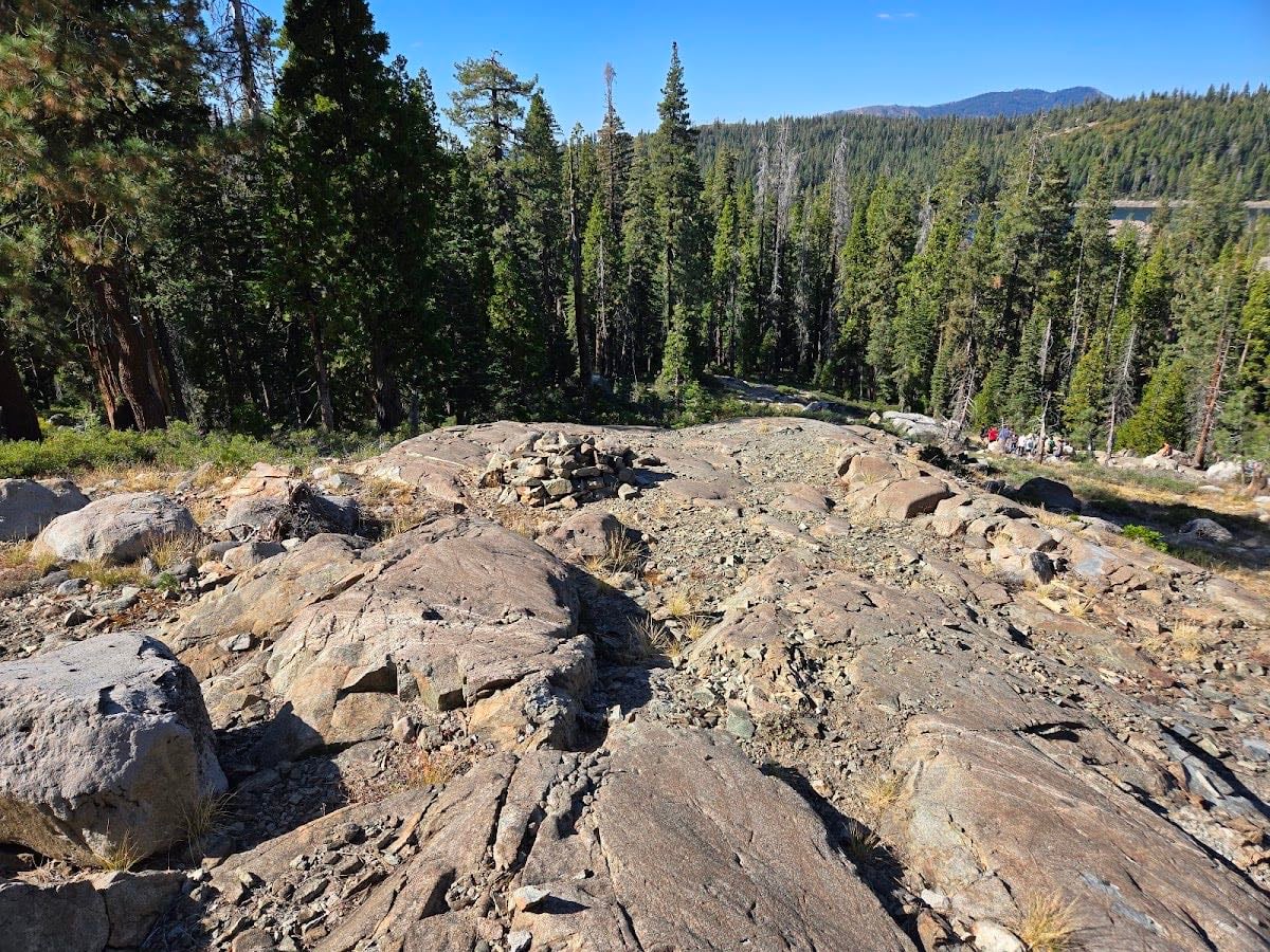 Tahoe National Forest