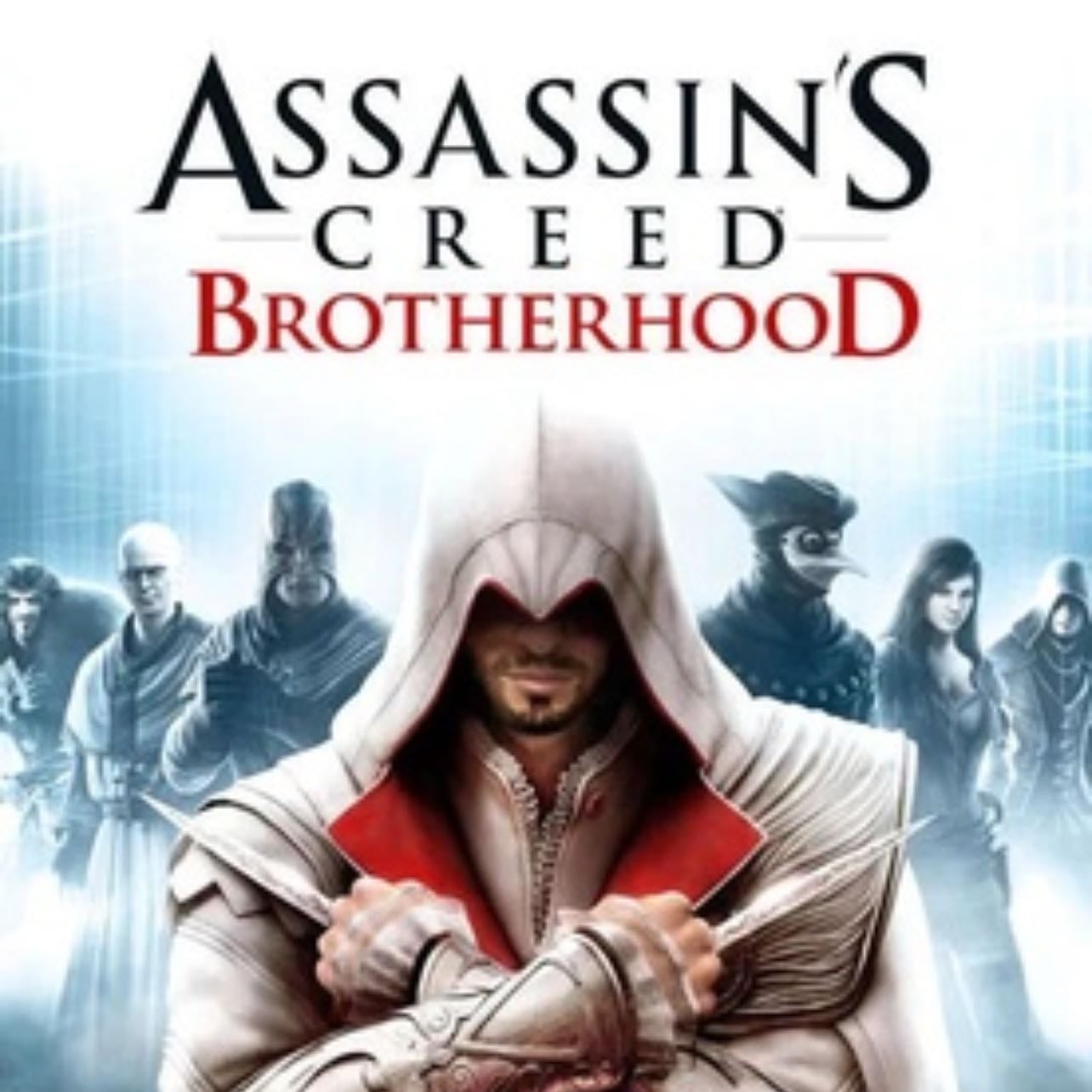 Assassins Creed Brotherhood