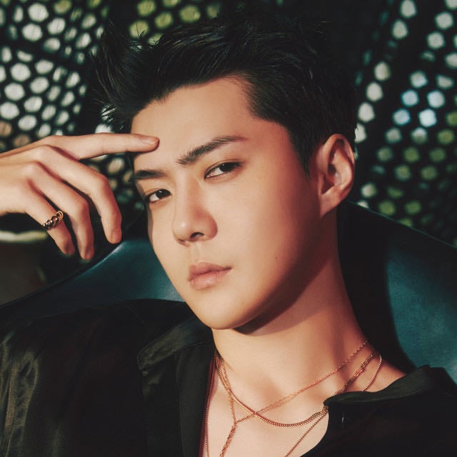 SEHUN - Artist