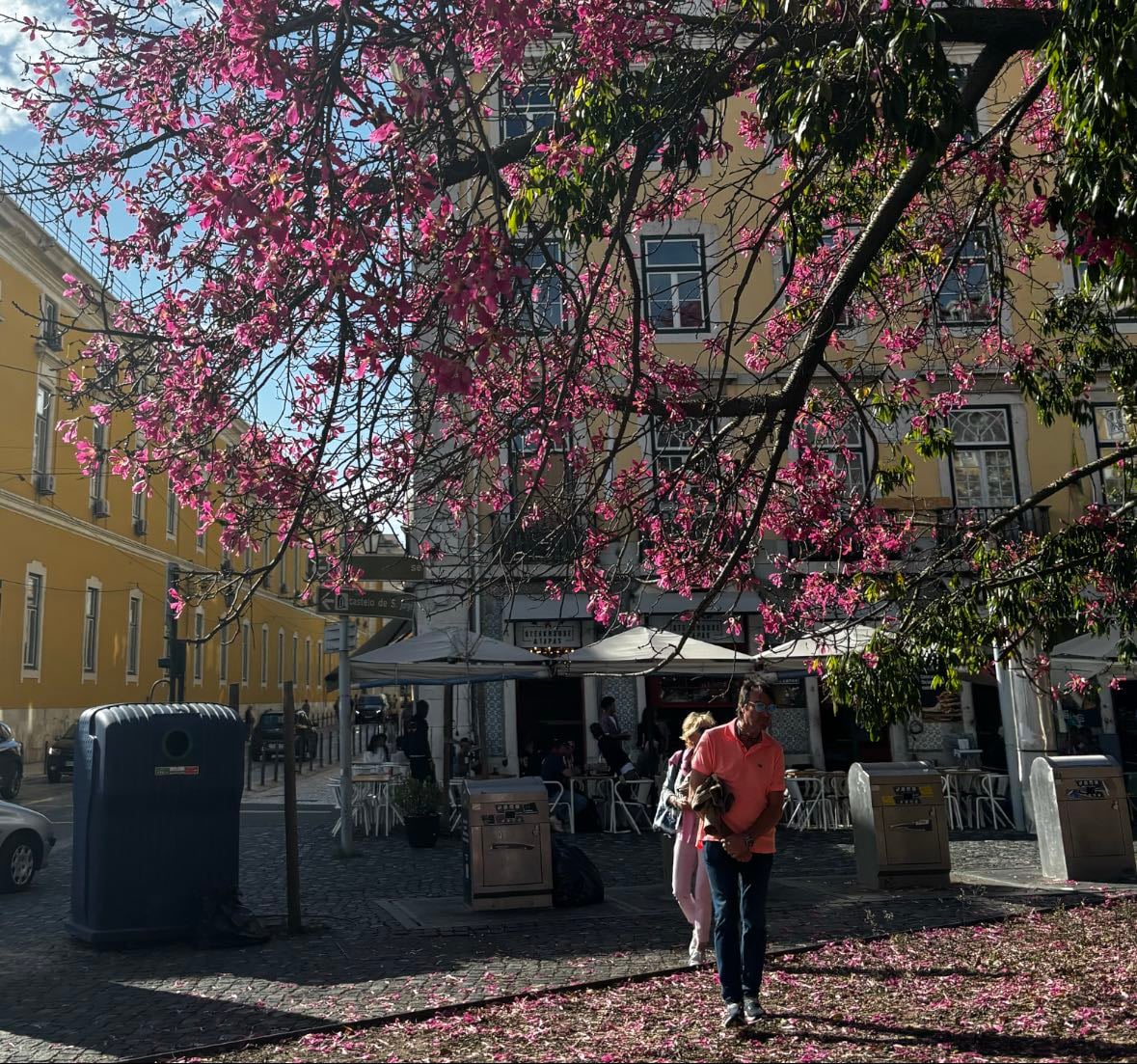 a week in lisbon