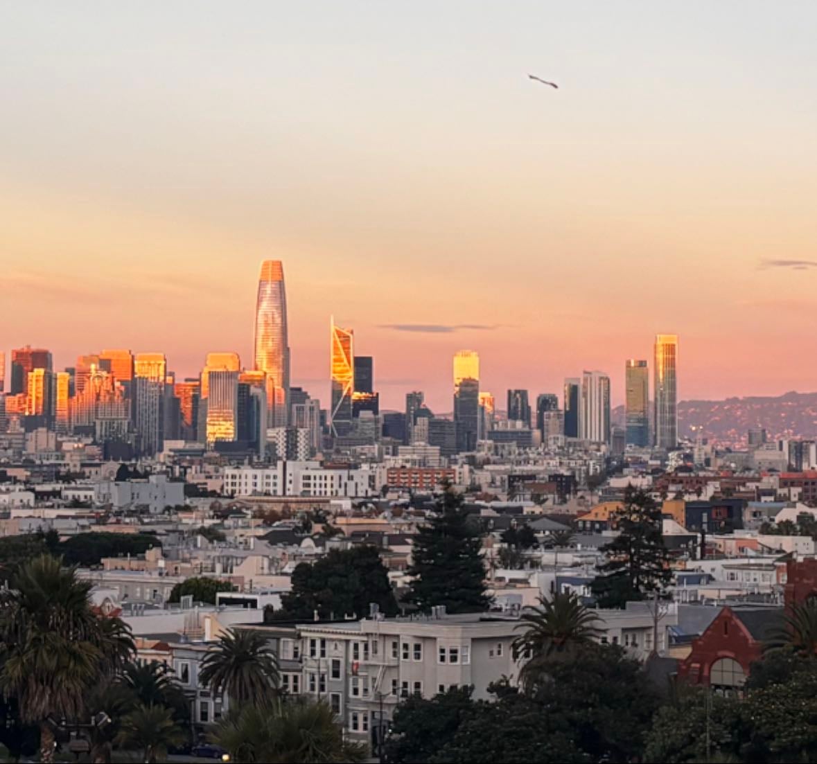 a week in san francisco