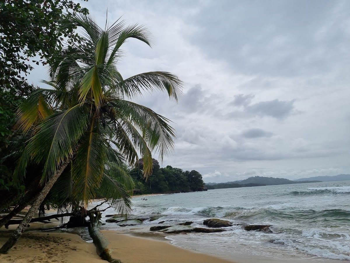 Punta Uva