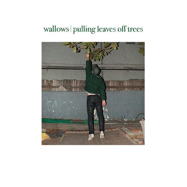 Pulling Leaves Off Trees - Song · Wallows