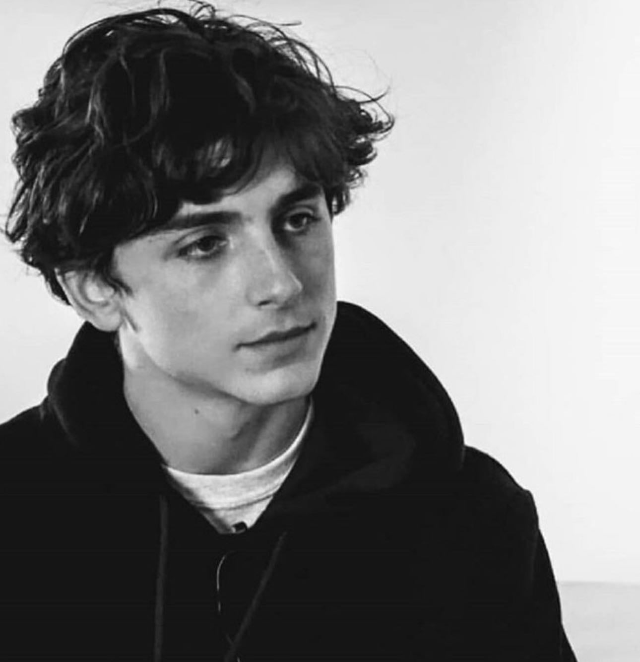Timothée Chalamet - Artist