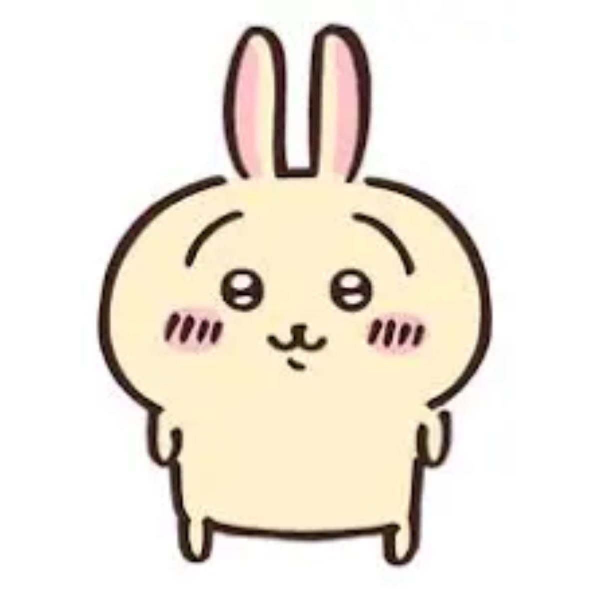 usagi