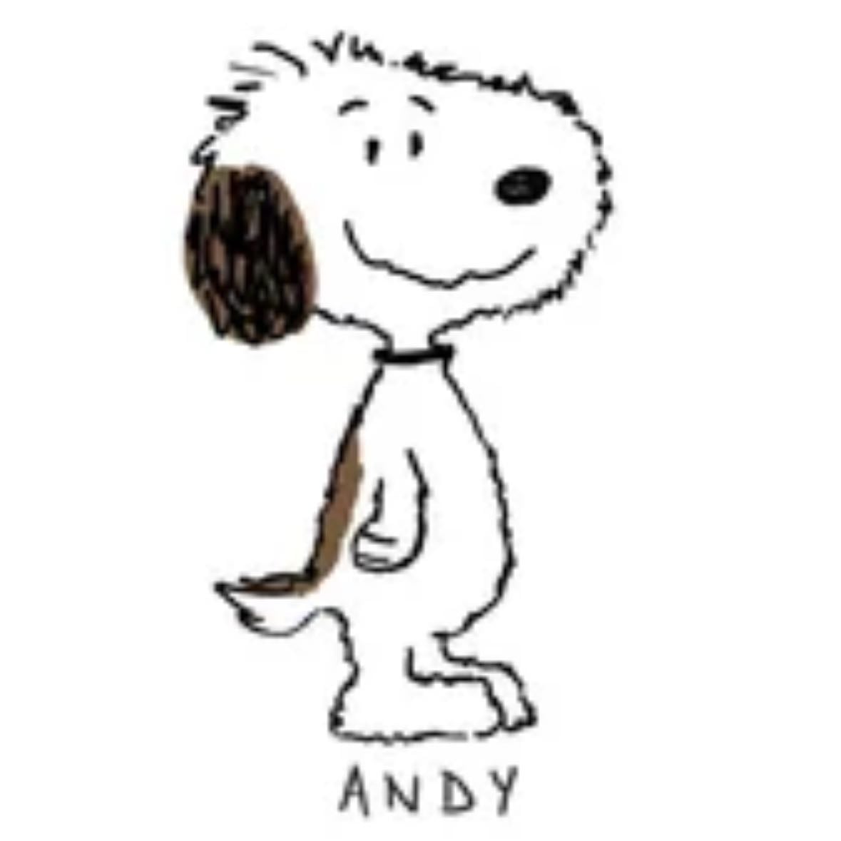 andy