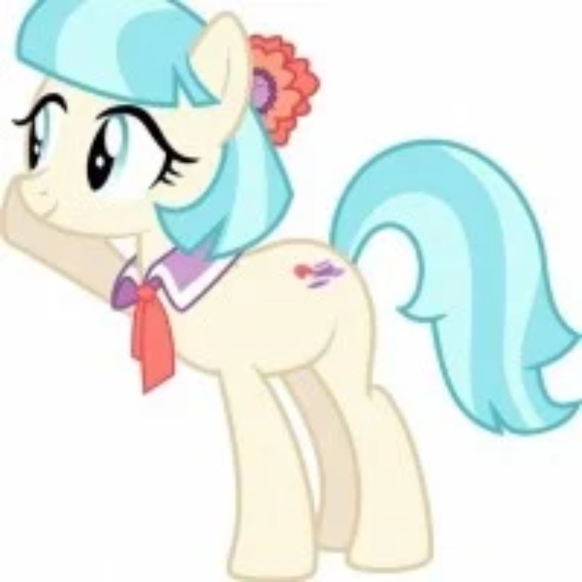 coco pommel