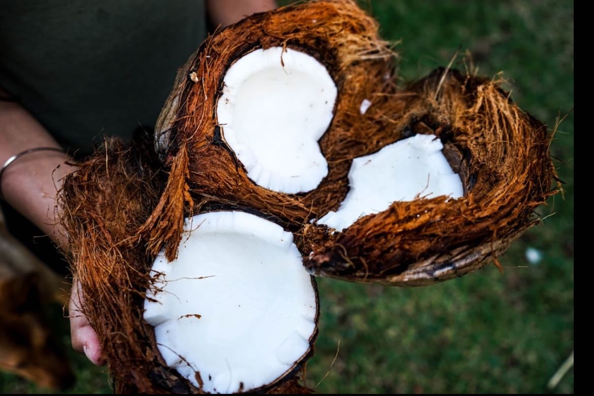 Coconut