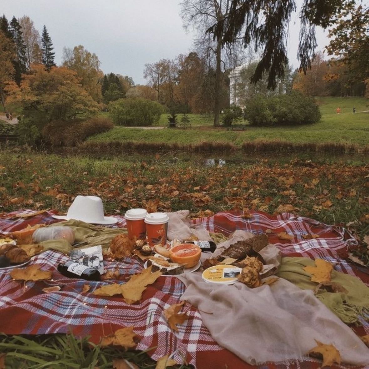 picnic - π§Ί