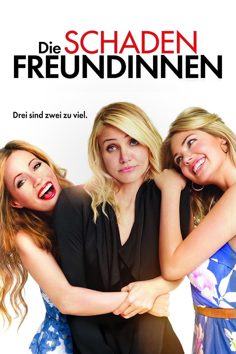 Die Schadenfreundinnen - Nick Cassavetes · 2014