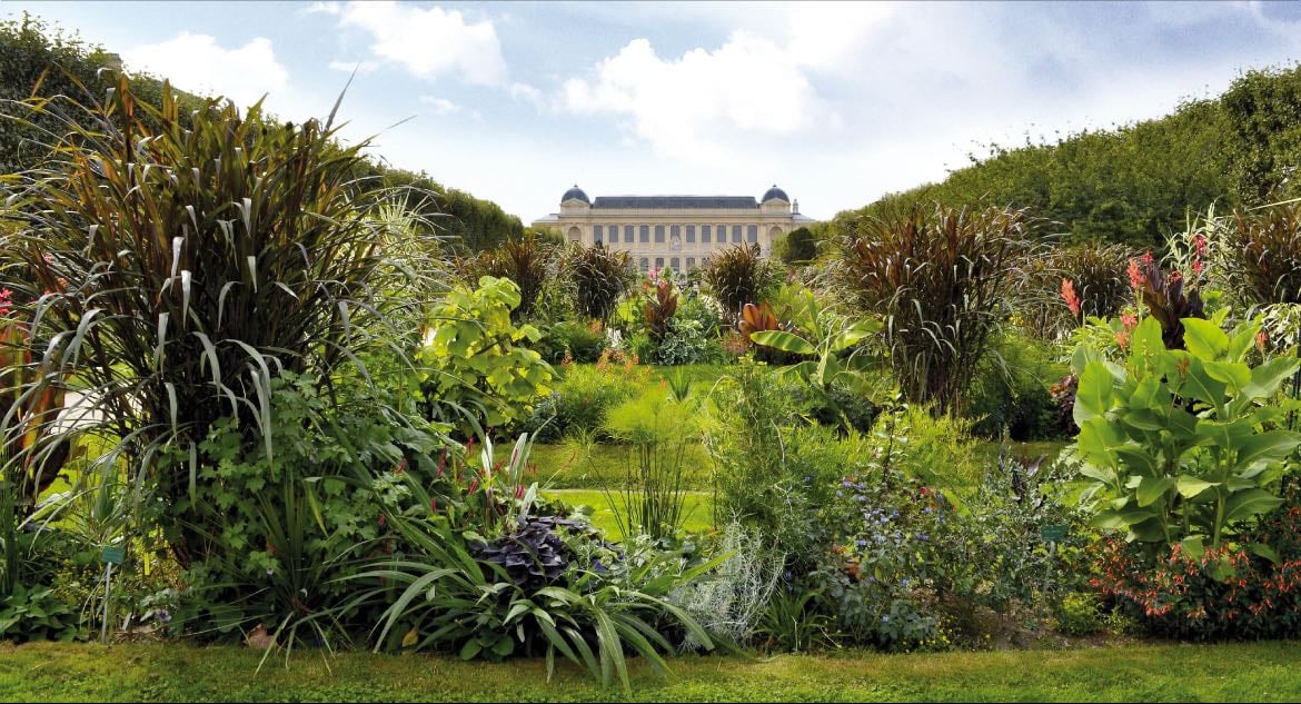 Jardin des Plantes