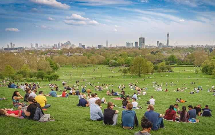 Primrose Hill