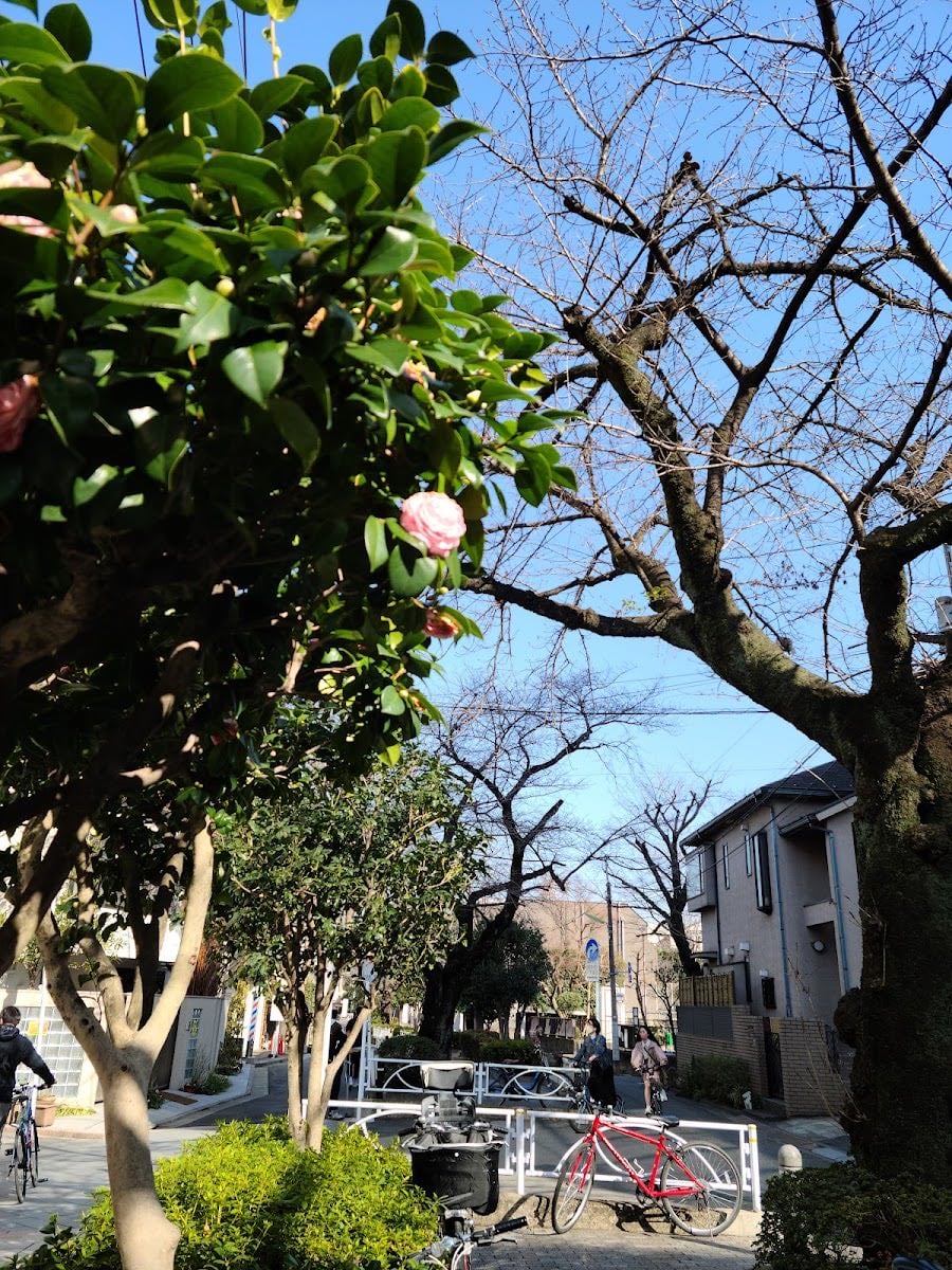 Jiyūgaoka - Relaxing neighborhood