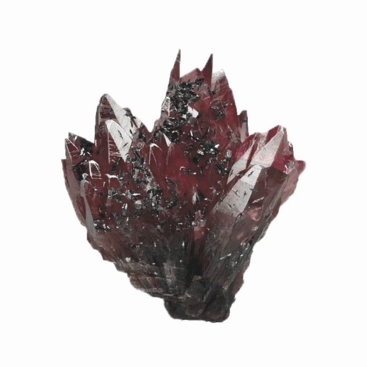 Dragon’s Blood