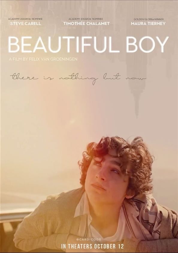 Beautiful Boy - Felix van Groeningen · 2018