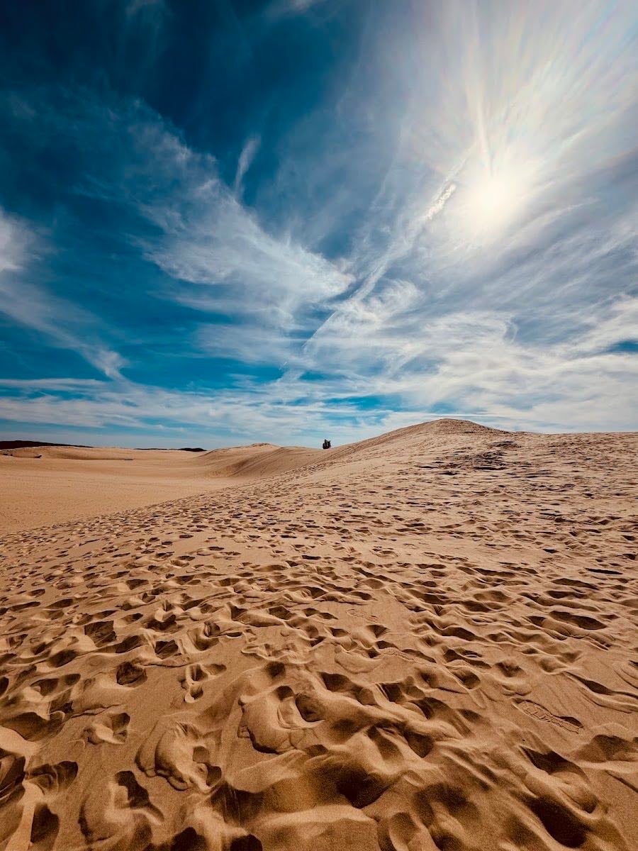 Silver Lake Sand Dunes
