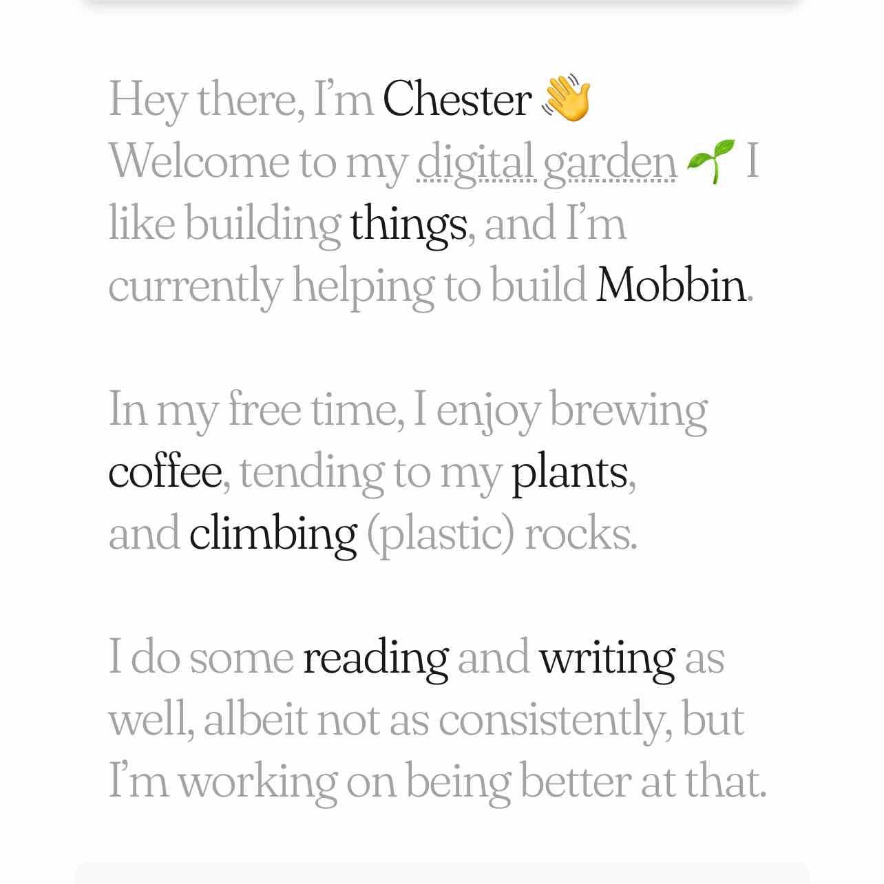 Chester How - Product Engineer @Mobbin