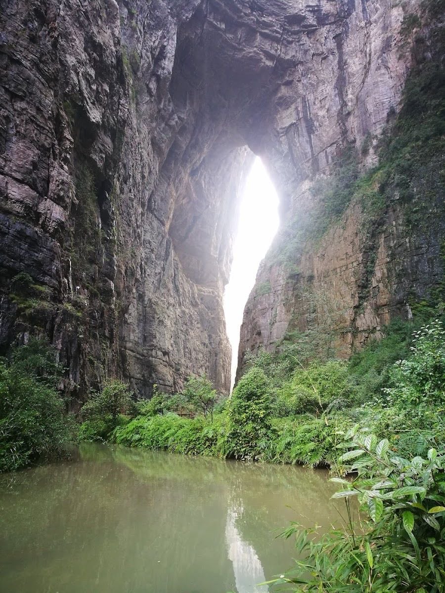 Wulong