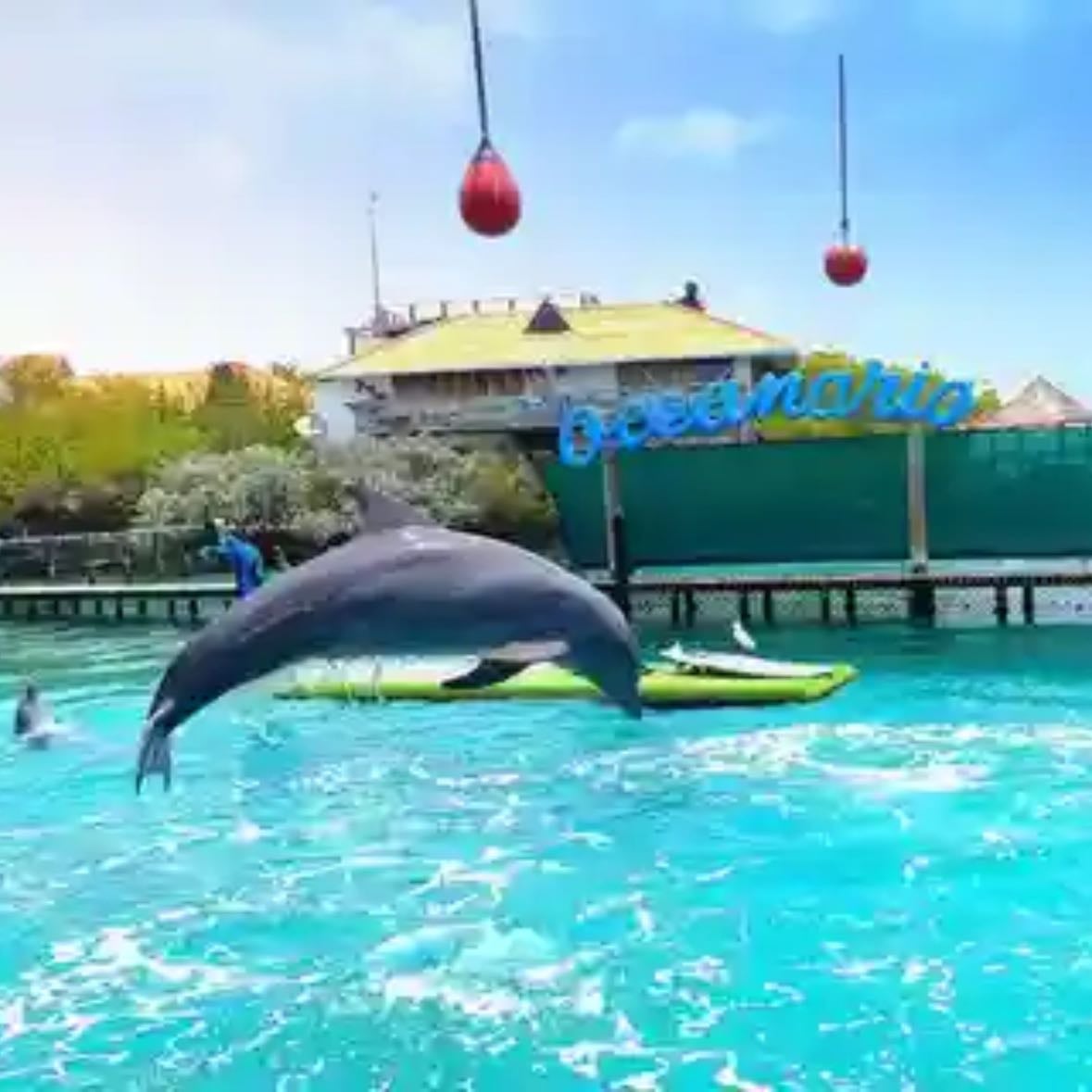 CARTAGENA: 4 islands by sport boat +oceanarium tickets - Duration 7 hours