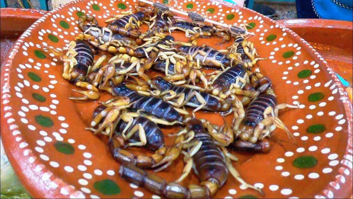 Comer alacrán