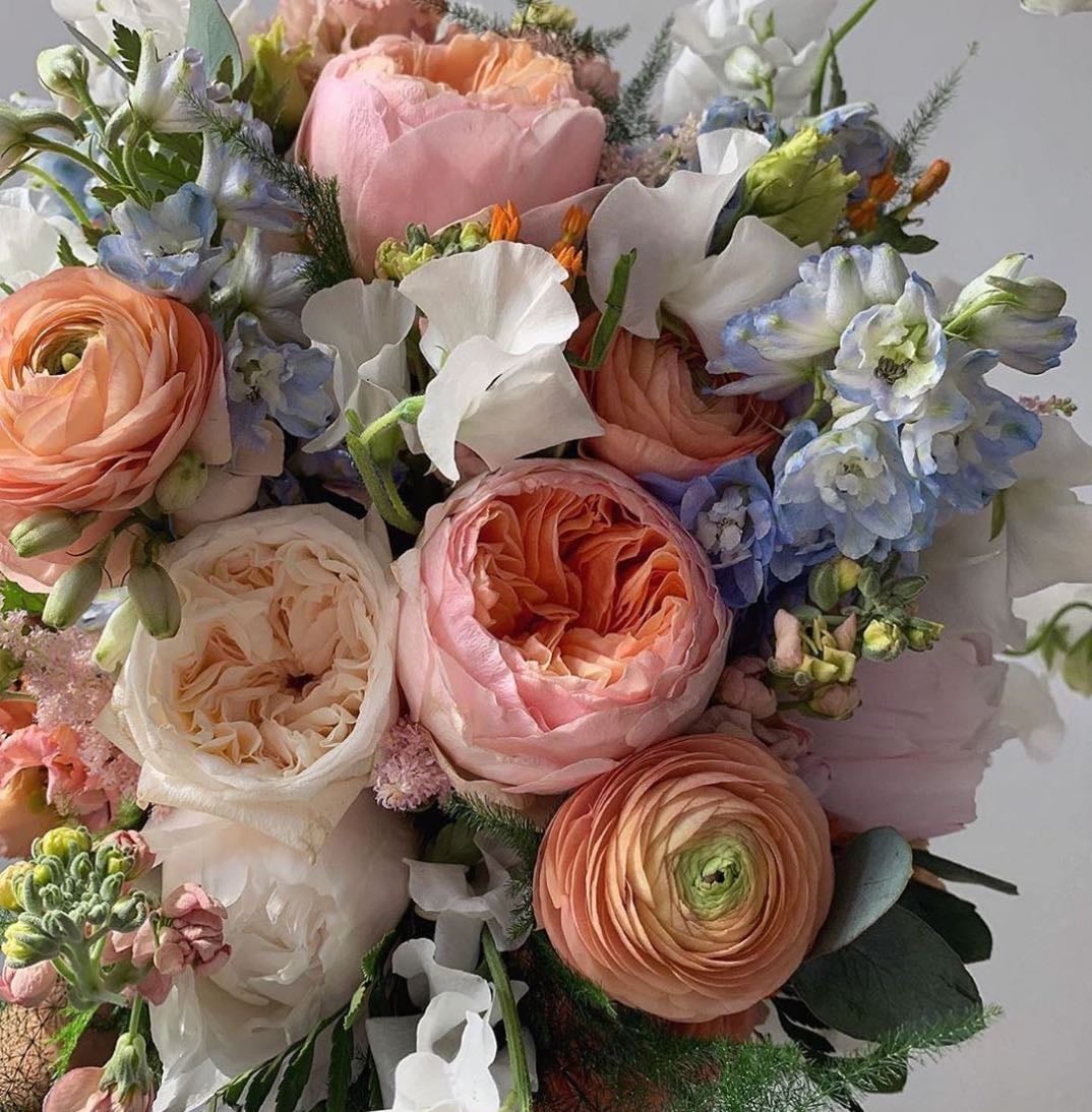 flowers ❀