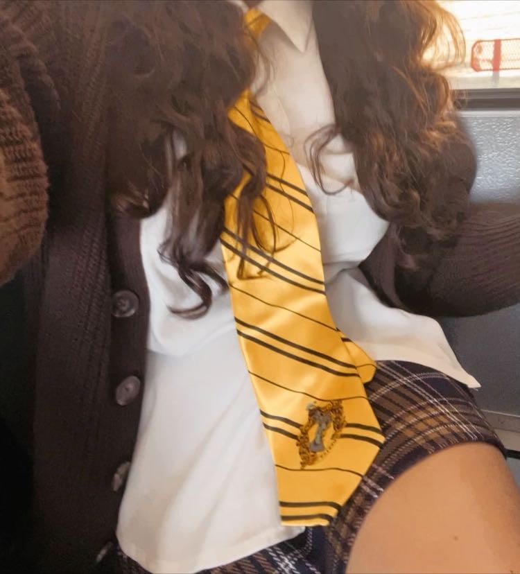 Hufflepuff - Hogwart house