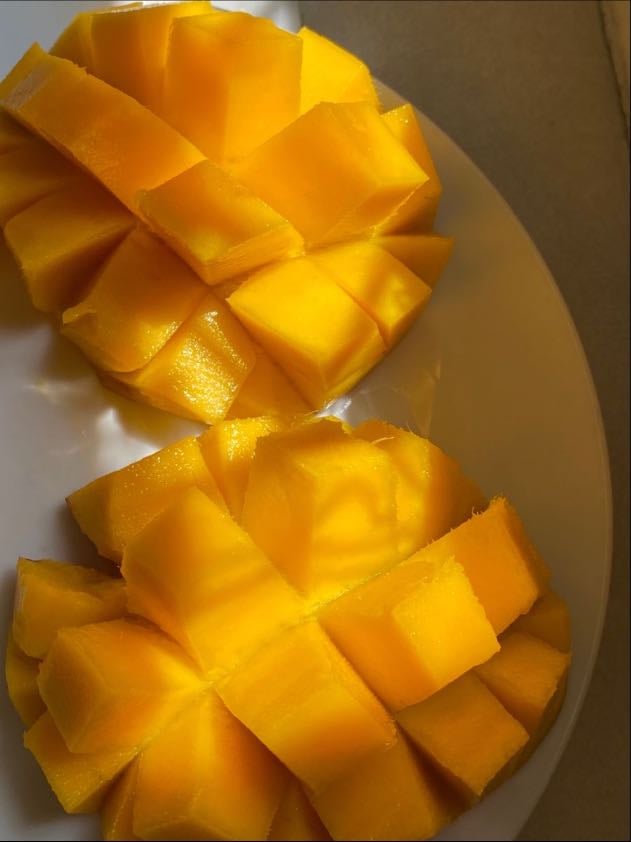 Mango - Favorite fruit