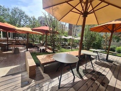 BOSCO DE LOBOS Barcelona