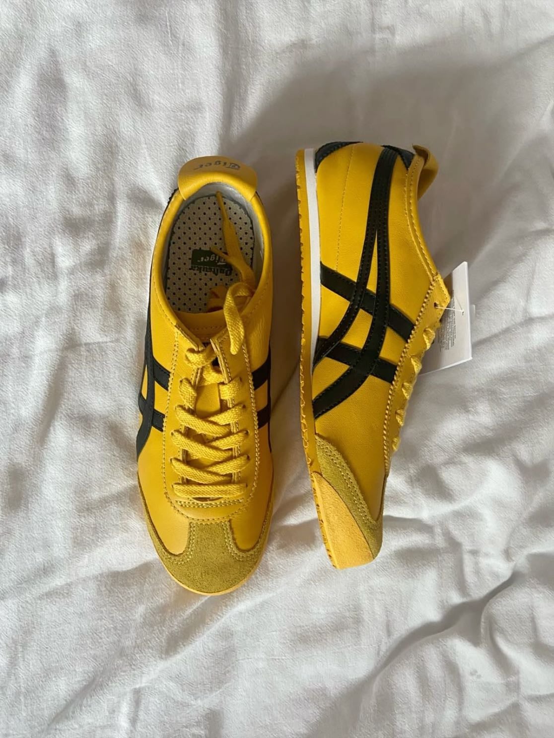 yellow black