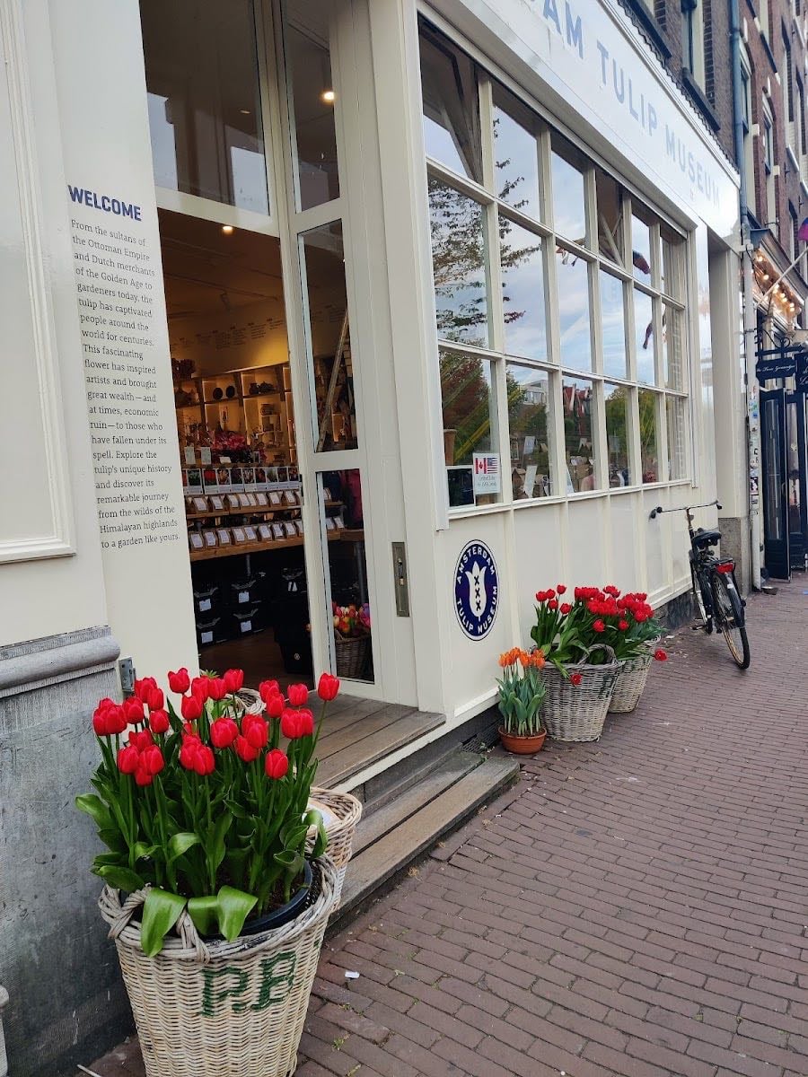 Amsterdam Tulip Museum - Cute for pictures, also good souvenirs