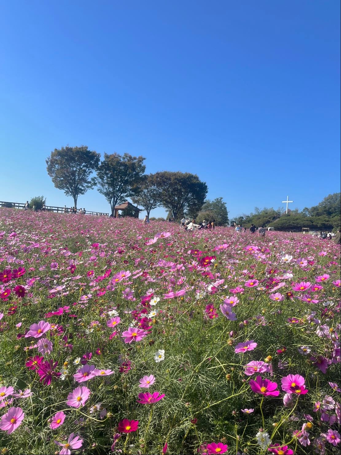 📍愛知牧場 - 愛知県