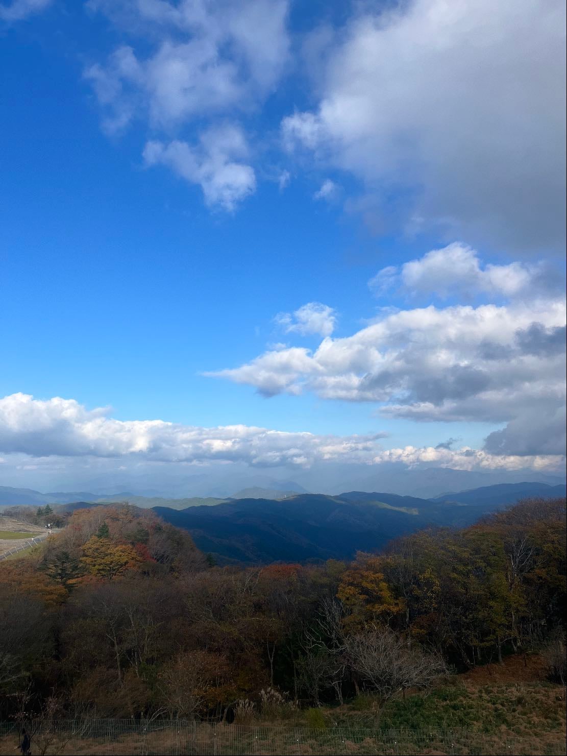 📍茶臼山高原 - 愛知県