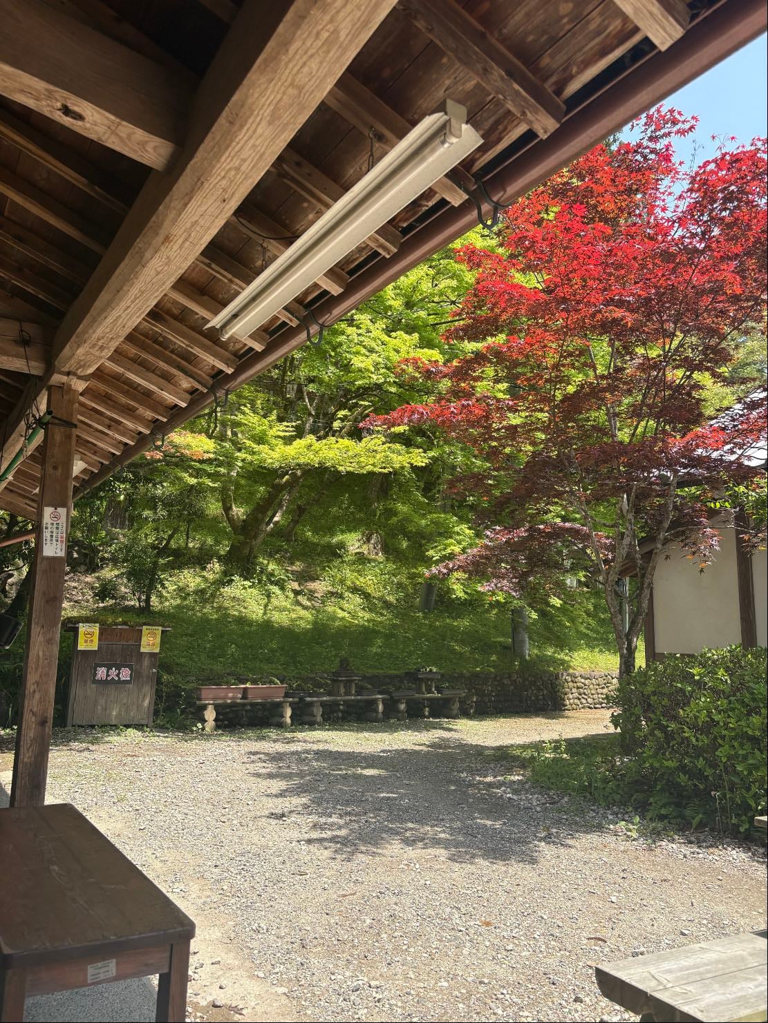 📍香嵐渓 - 愛知県