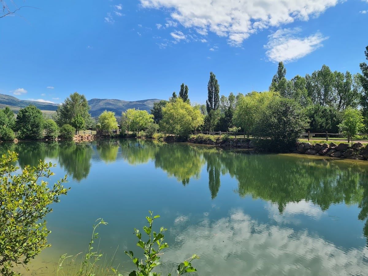 Llac Torniquet