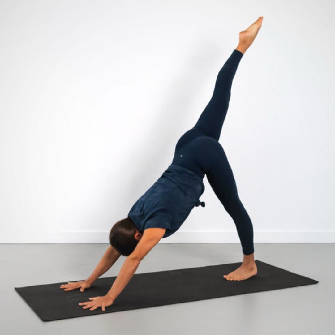 Downward dog leg up