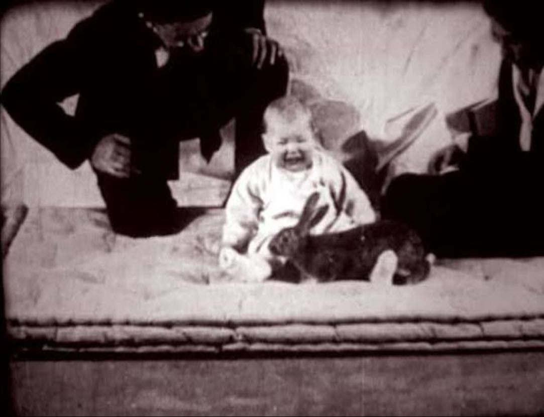 Little albert experiment