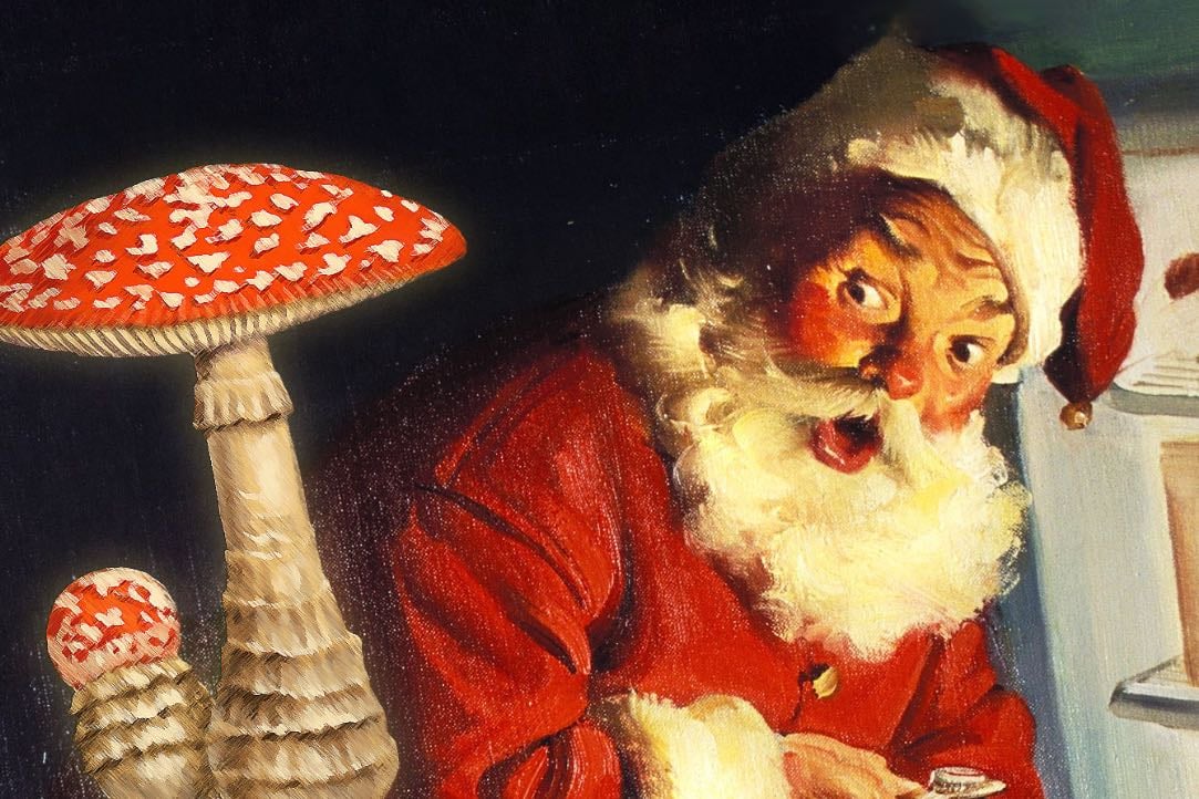 How hallucinogenics may have inspired Christmas as we know it