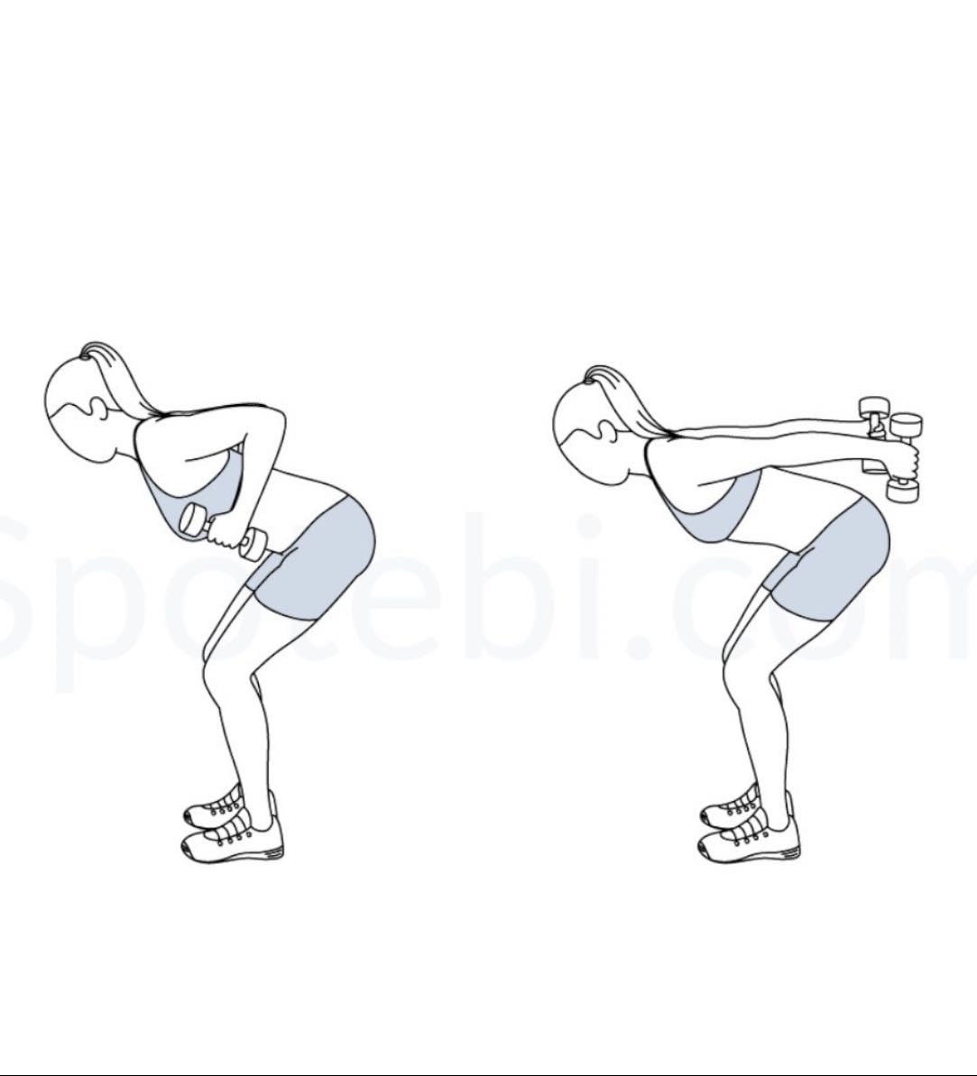 Tricep kick backs