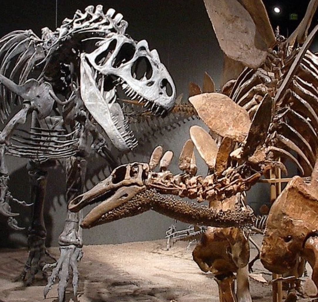 Dinosaurs