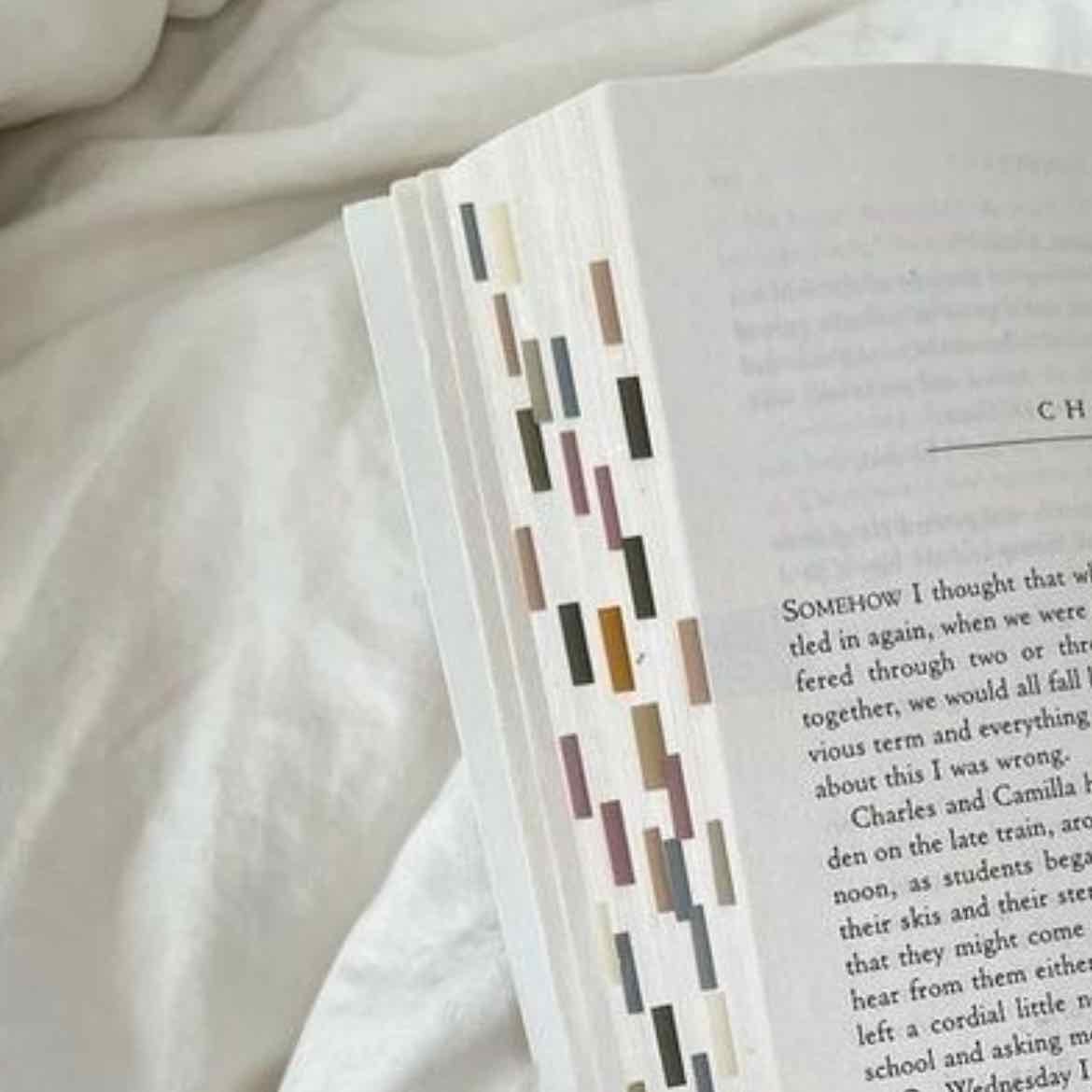 tabs - morandi pastel sticky tabs