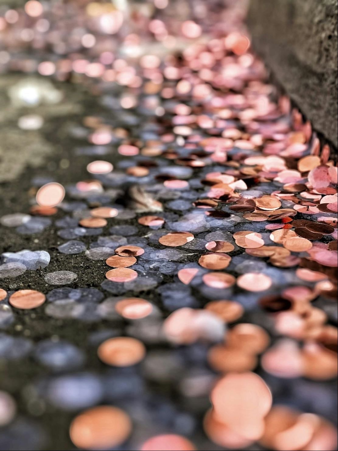 paillettes