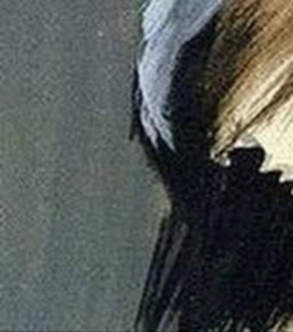 Blondita