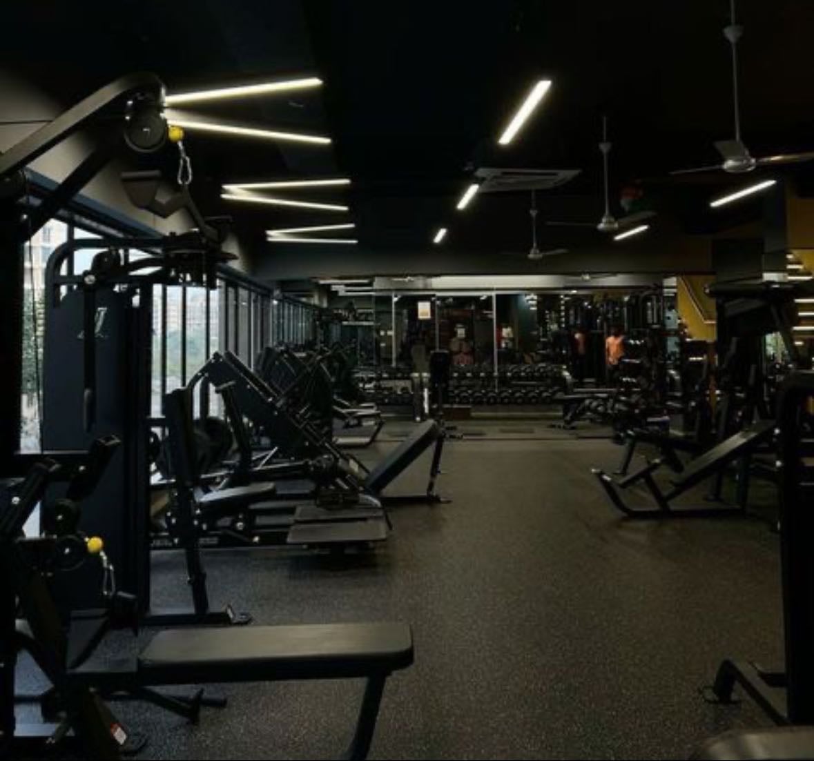 gym ! - Fitness hypelist by jay !