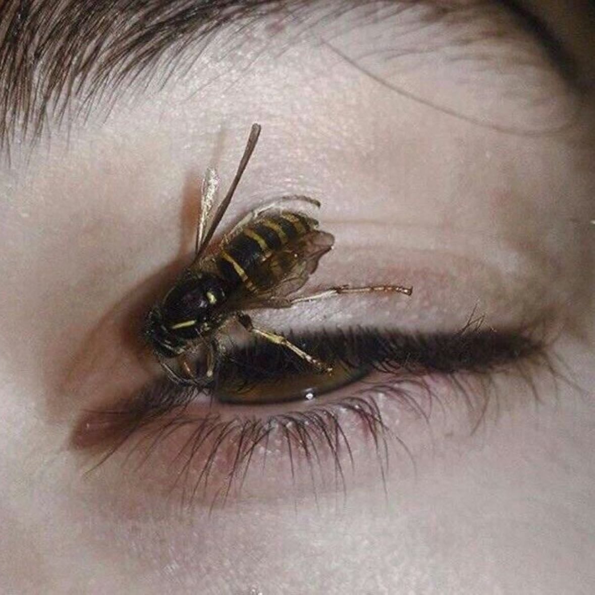 yellowjackets - 2021—