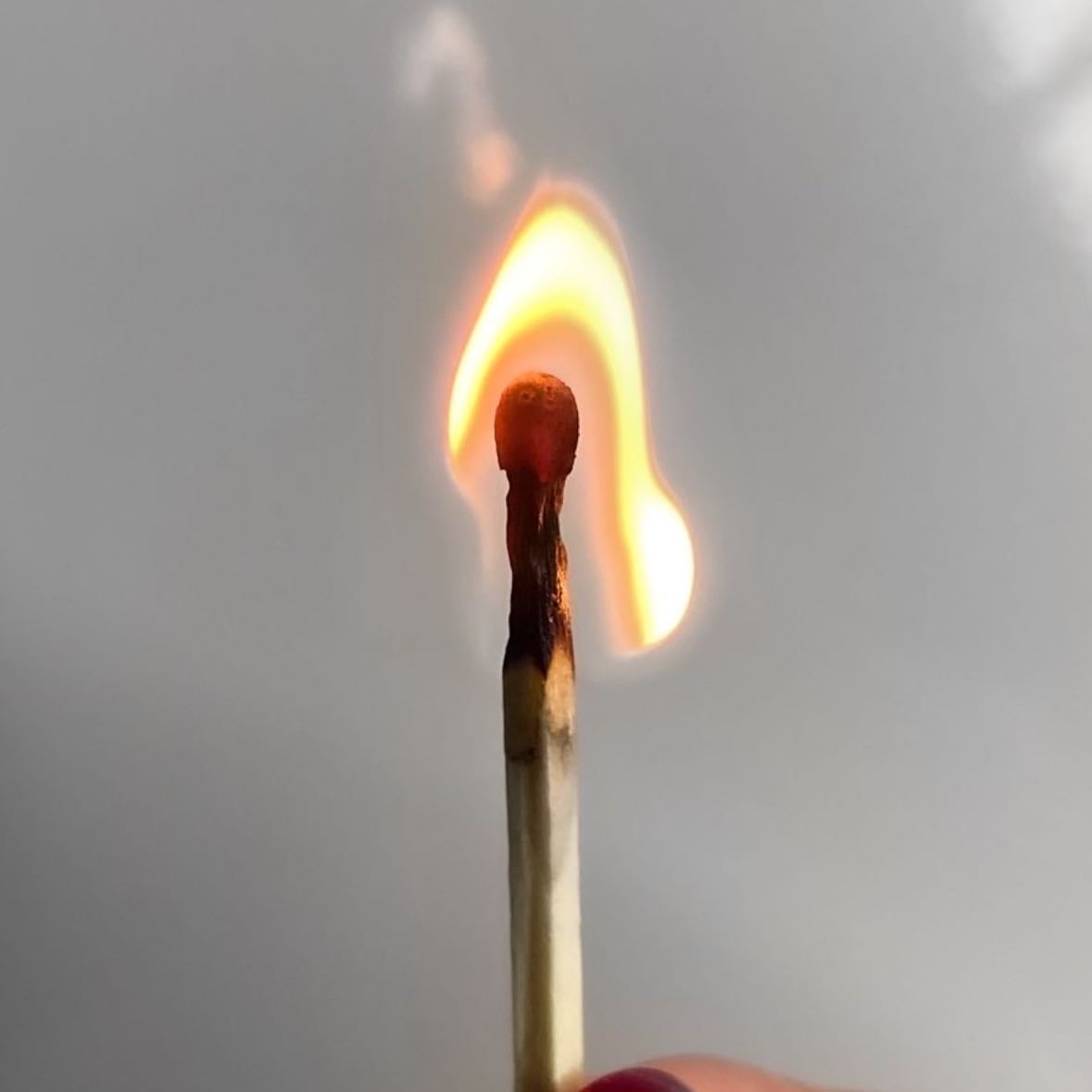 sagittarius - zodiac sign.