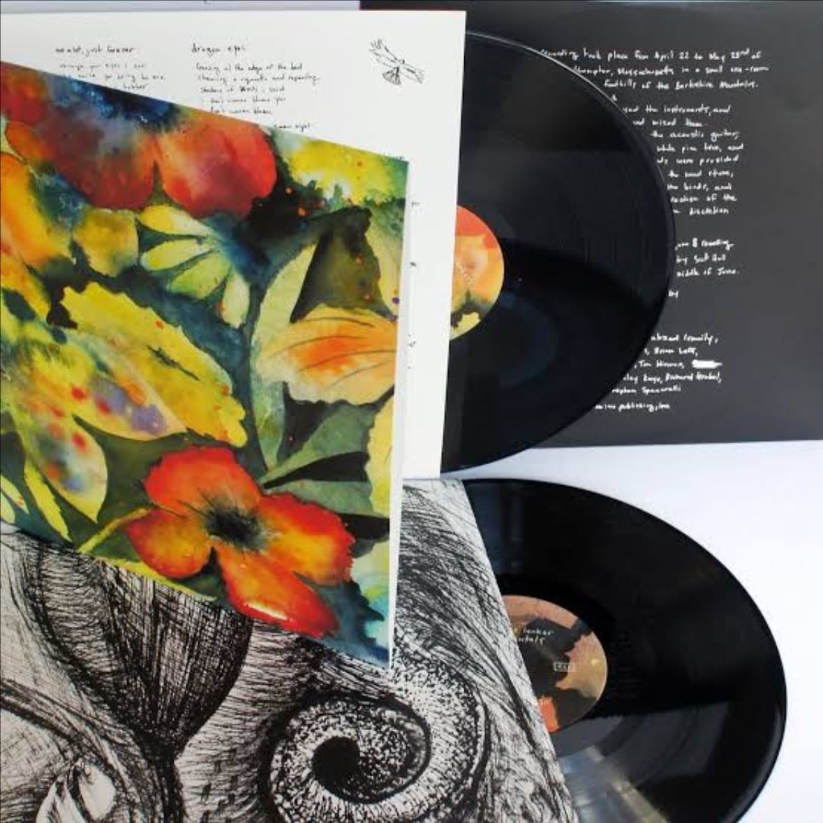 songs and instrumentals on vinyl