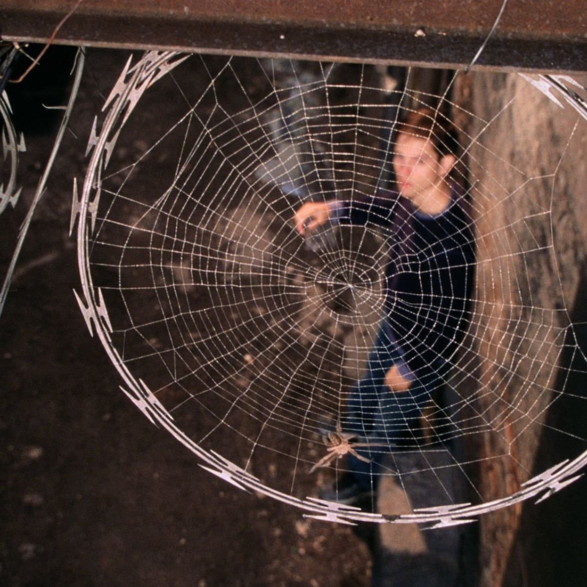 spider-man - sam raimi · 2002